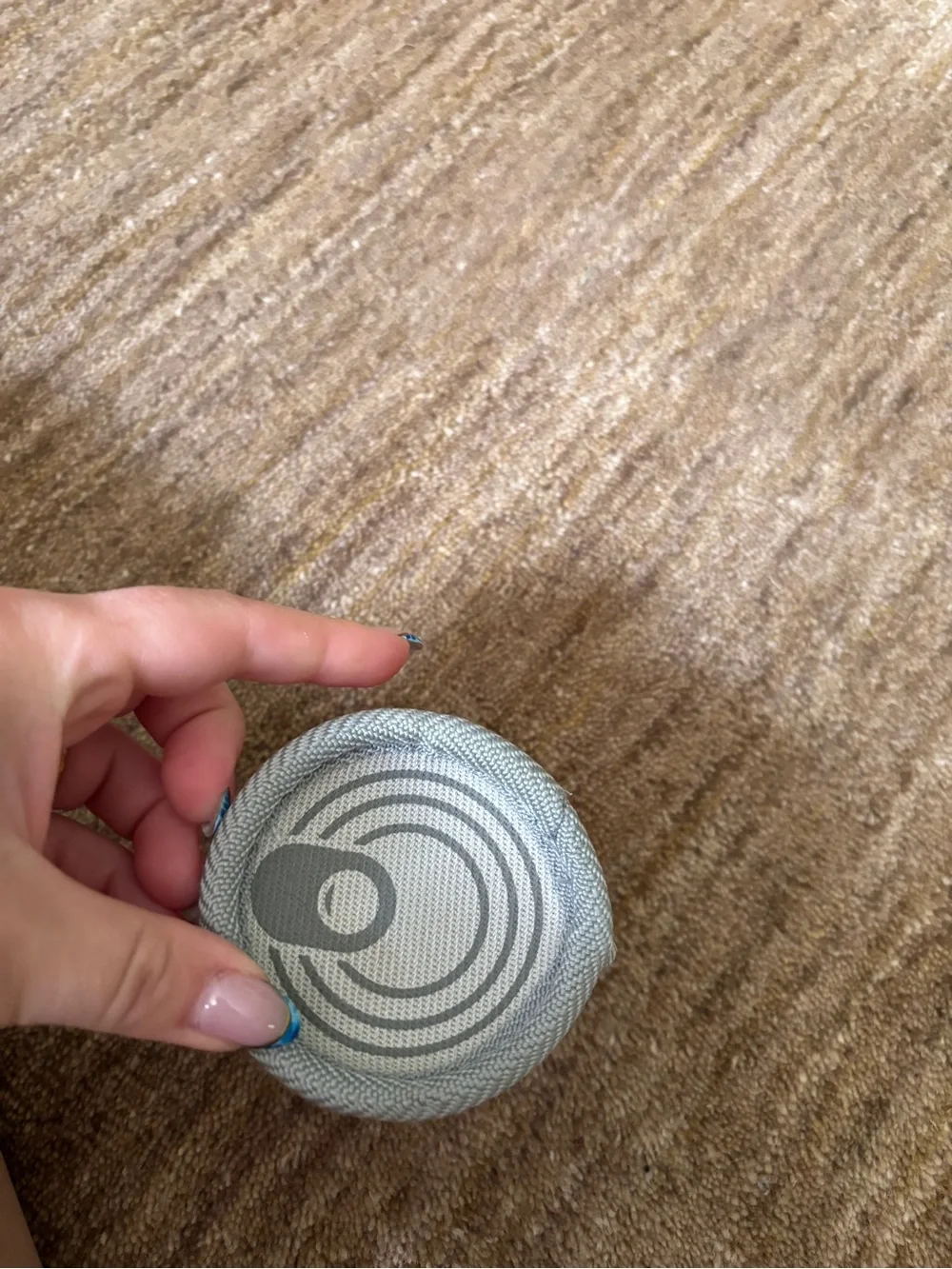 Dog toy never played with